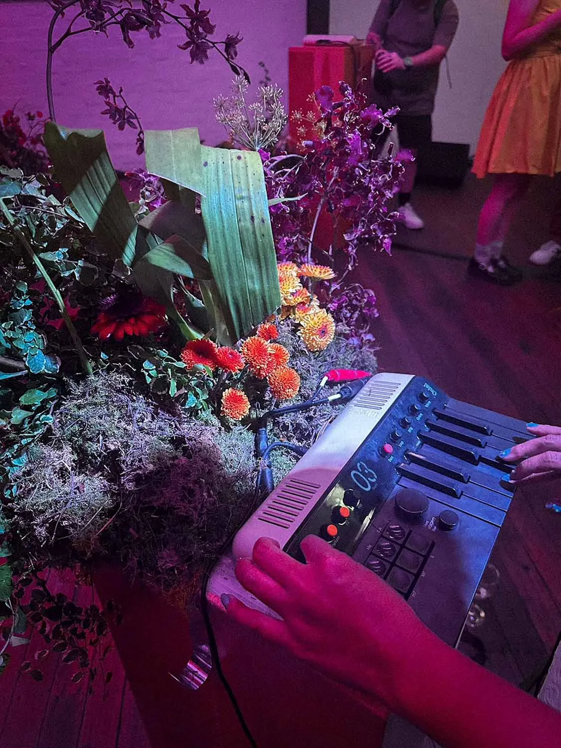 Orchid launch event