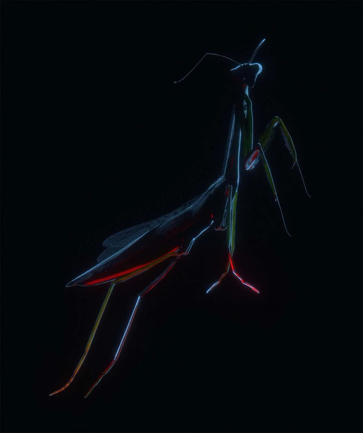 Microcosm
